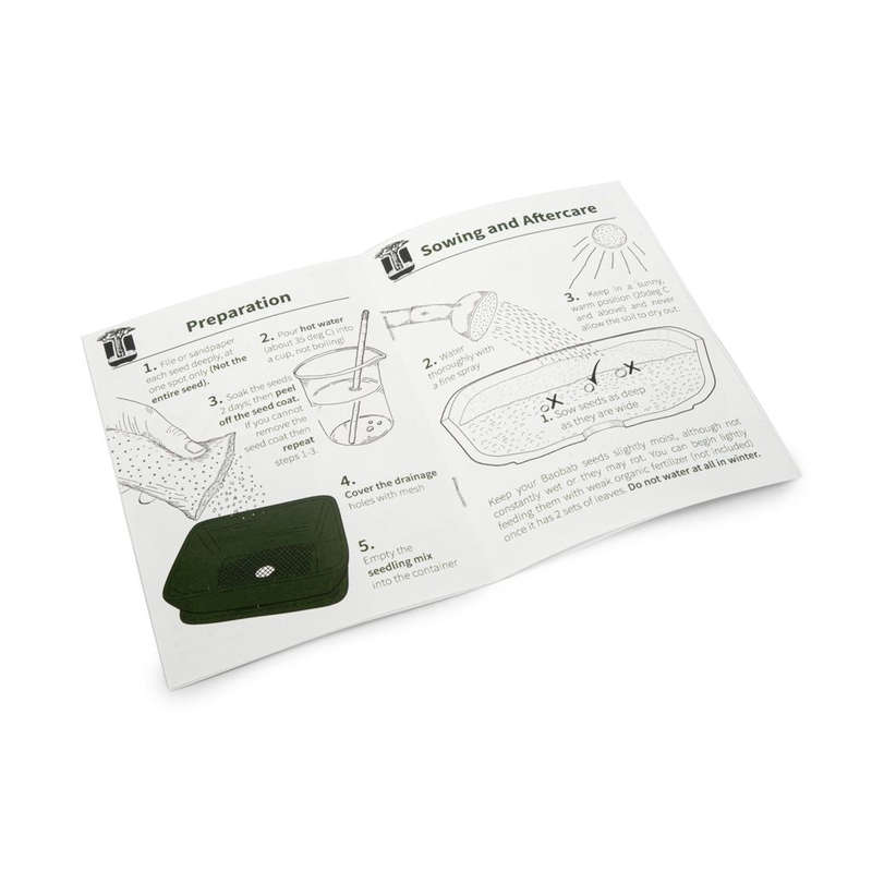 Baobab Bonsai Growing Kit