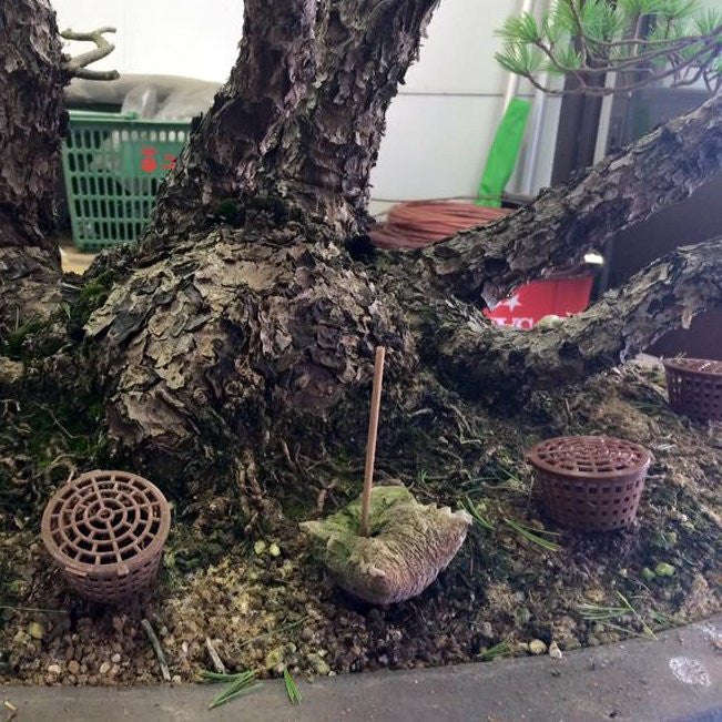 Bonsai Tree Fertilizer Containers - 10pc