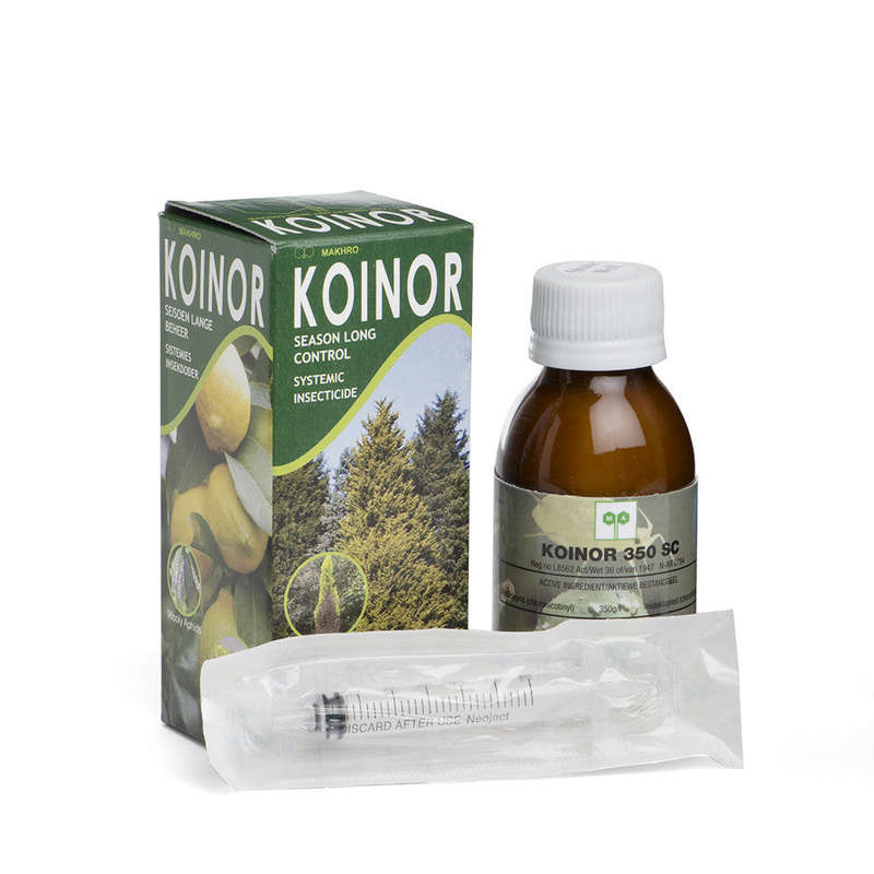 Koinor - 100ml bottle