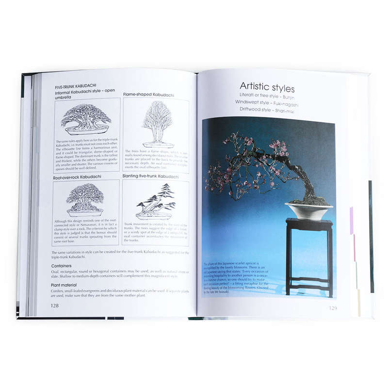 Practical Guide to Bonsai Styles of the World by Charles S. Ceronio