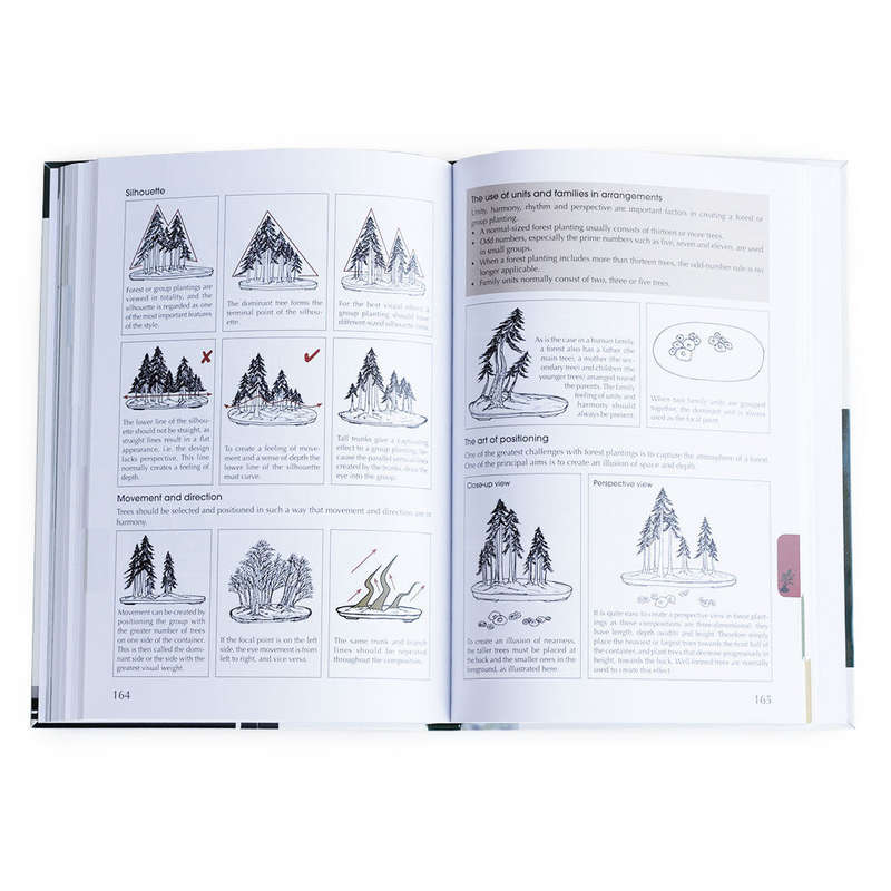 Practical Guide to Bonsai Styles of the World by Charles S. Ceronio