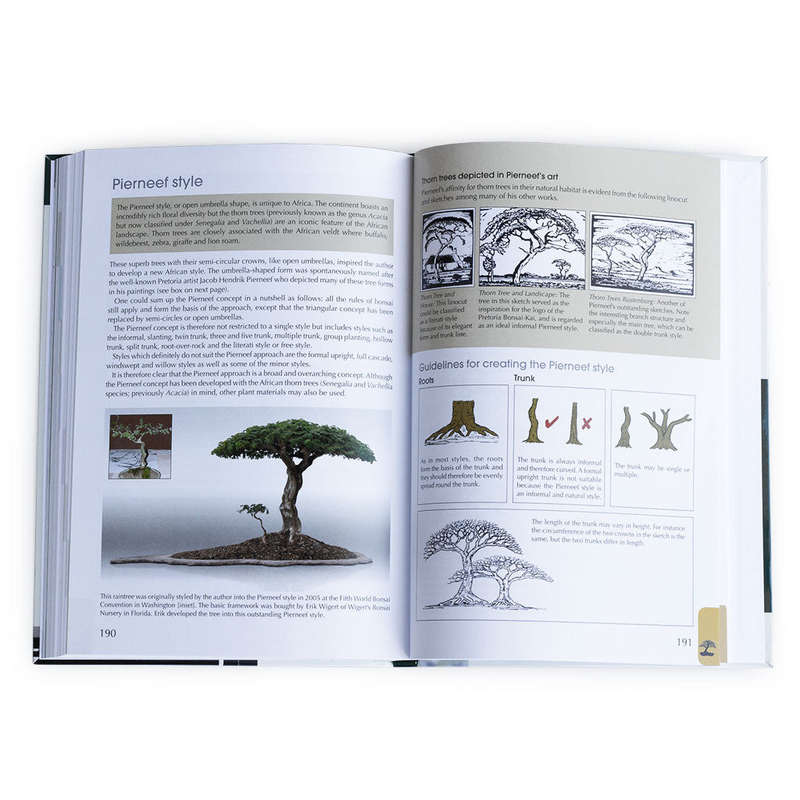 Practical Guide to Bonsai Styles of the World by Charles S. Ceronio