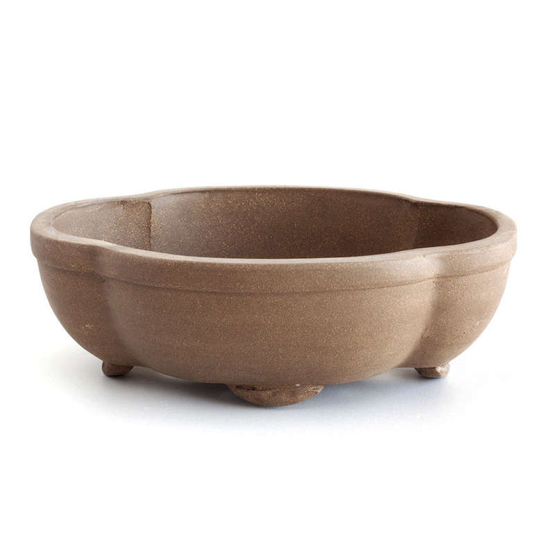 Assorted High Quality Unglazed, 21 x 16 x 7cm - Floriated Unglazed Ceramic Bonsai Pot