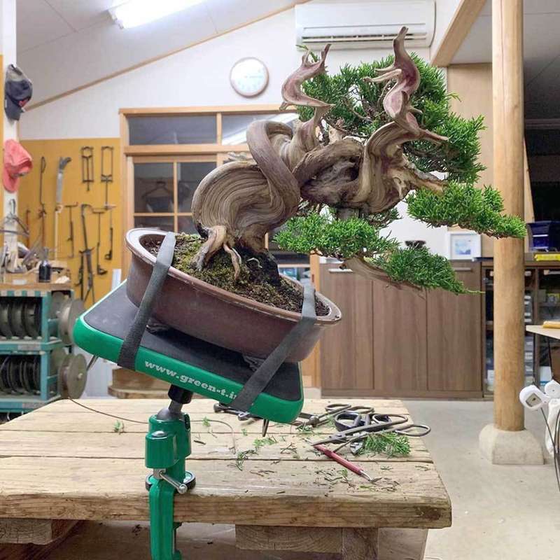 Green T Mini Bonsai Turntable - Green T Mini suction model