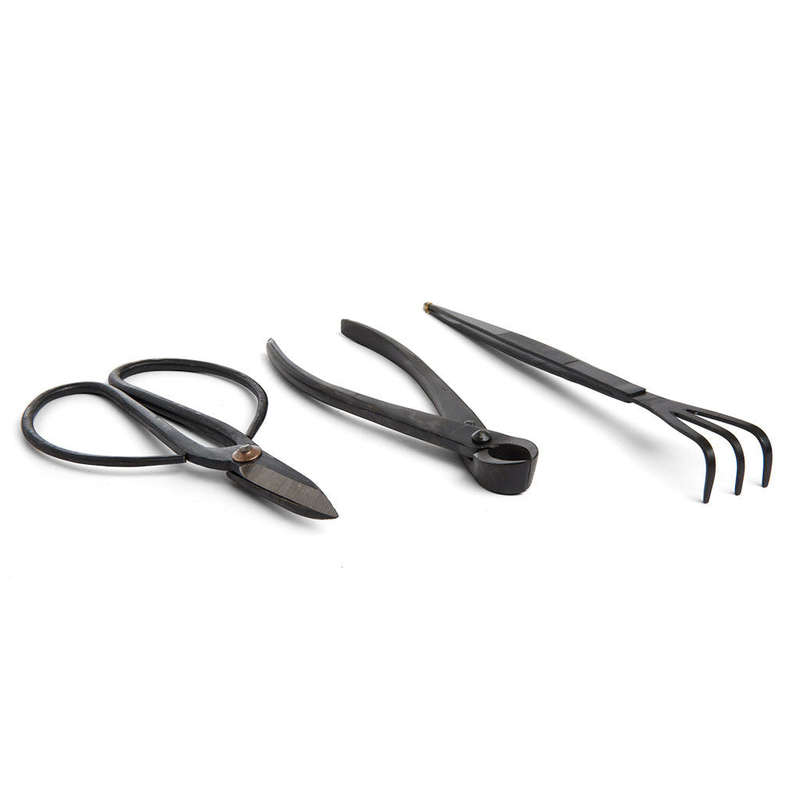 Bonsai Novice Tool Set