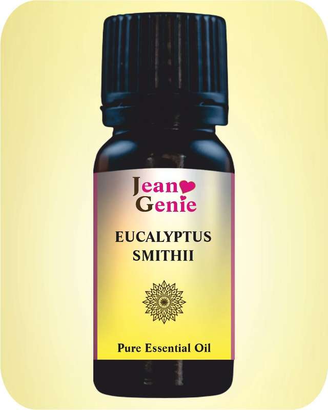 Eucalyptus Essential Oil (11ml/22ml)