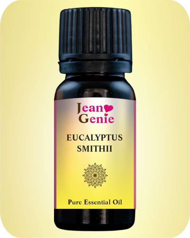 Eucalyptus Essential Oil (11ml/22ml)