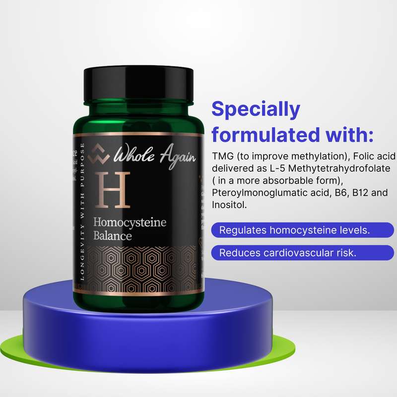 Homocysteine Balance