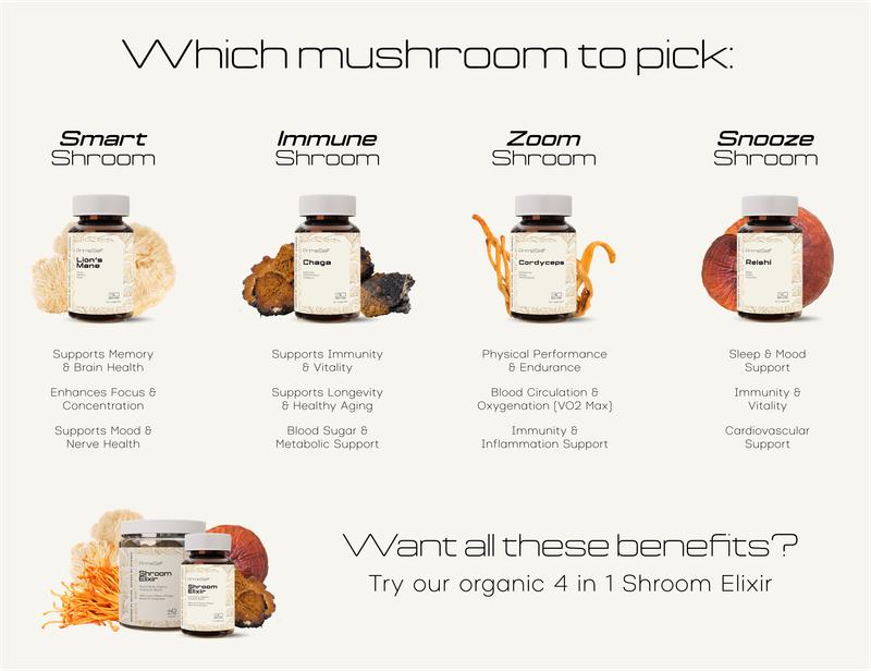 Organic Reishi Mushroom