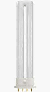 4Pin PL Globe 36W Cool White