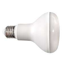 R80 12W E27 Led Lamp CW