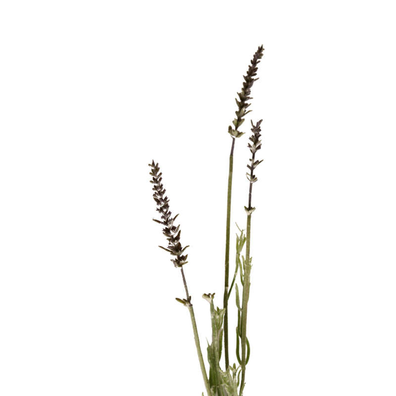 Lavender Artificial Flower Arrangement