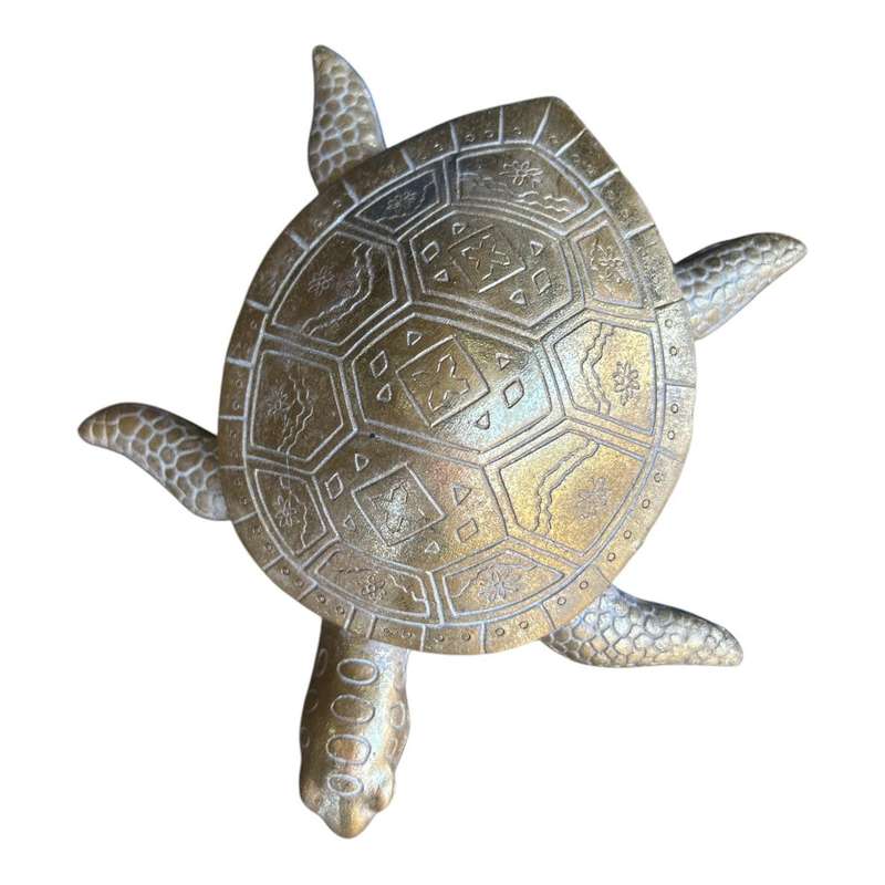 Animal Craft - Small Seaturtle