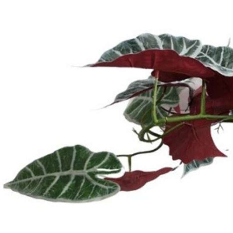 Artificial 120cm Elephant Ear Leaves