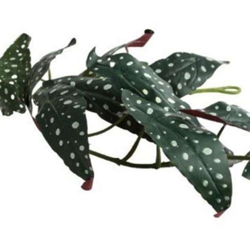 Artificial 120cm Polka Dot Begonia