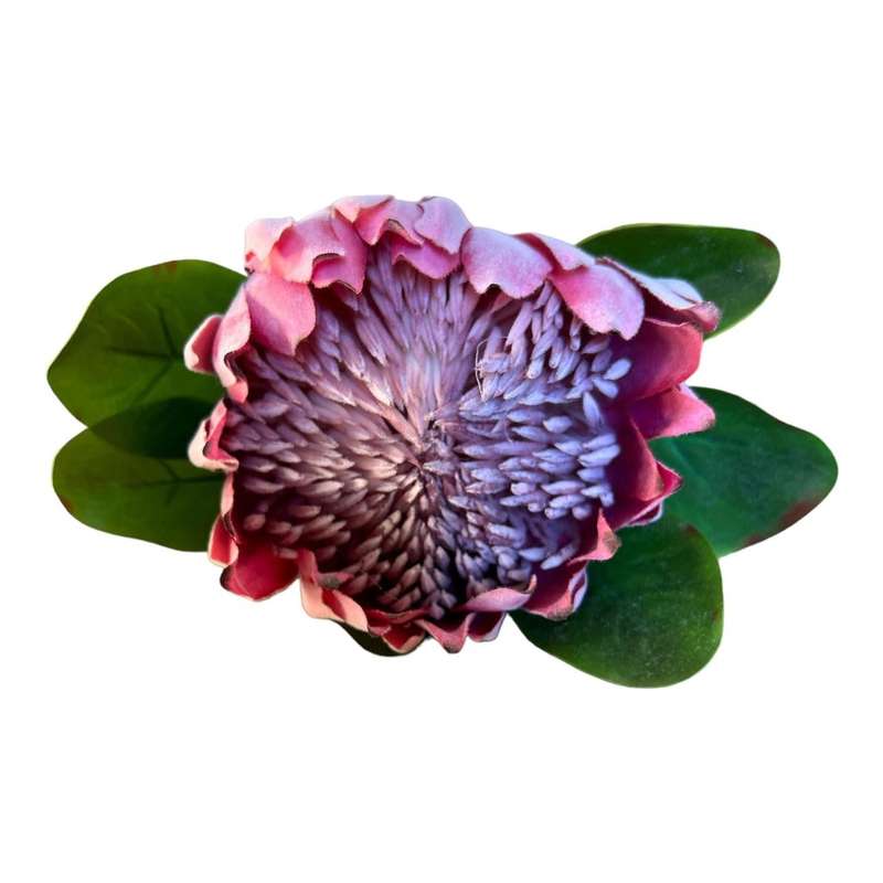 Artificial Flower - Blush Pink Protea 60cm