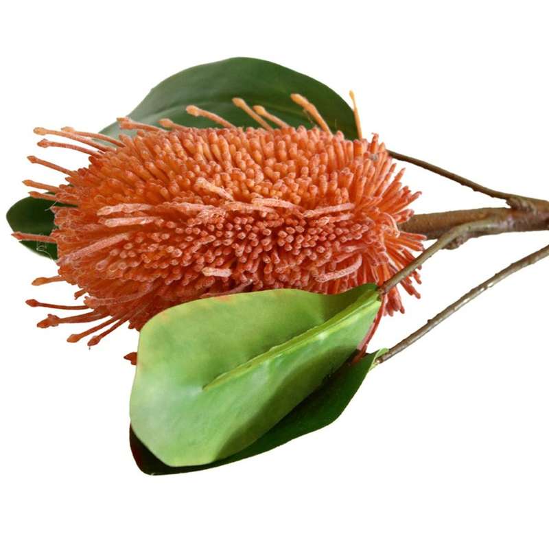 Artificial Flower - Burned Red Pincushion
