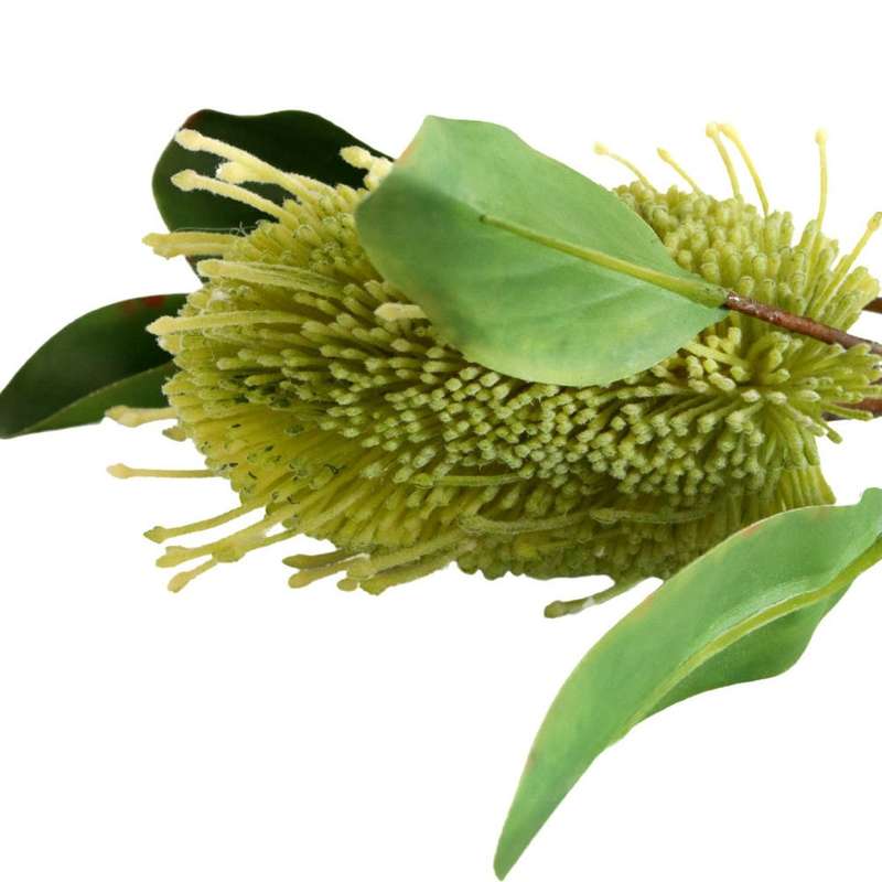 Artificial Flower - Green Pincushion