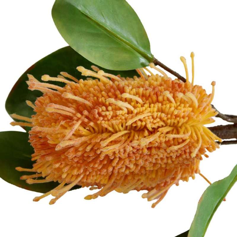 Artificial Flower - Orange Pincushion