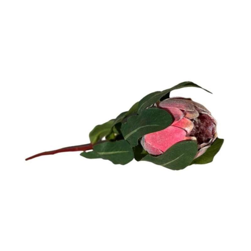 Artificial Flower - Pink Protea 46cm