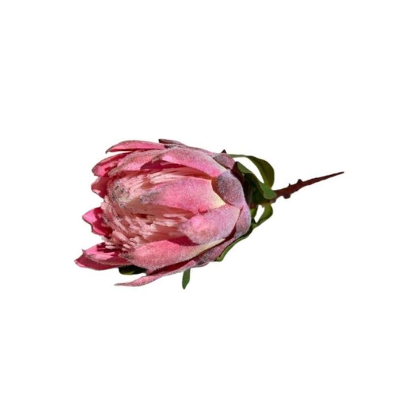 Artificial Flower - Pink Protea 60cm