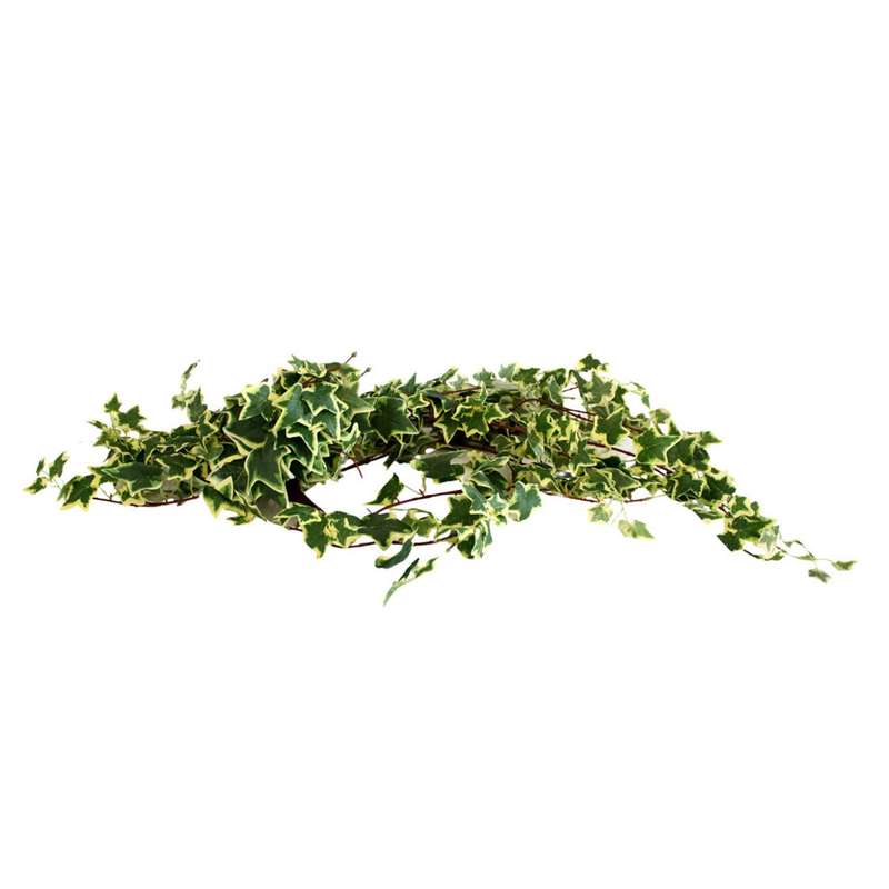 Artificial Hanging Leaves - Light Green And Dark Green