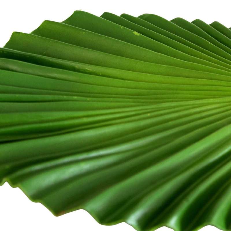Artificial Leaf - Wavy Palm Leaf
