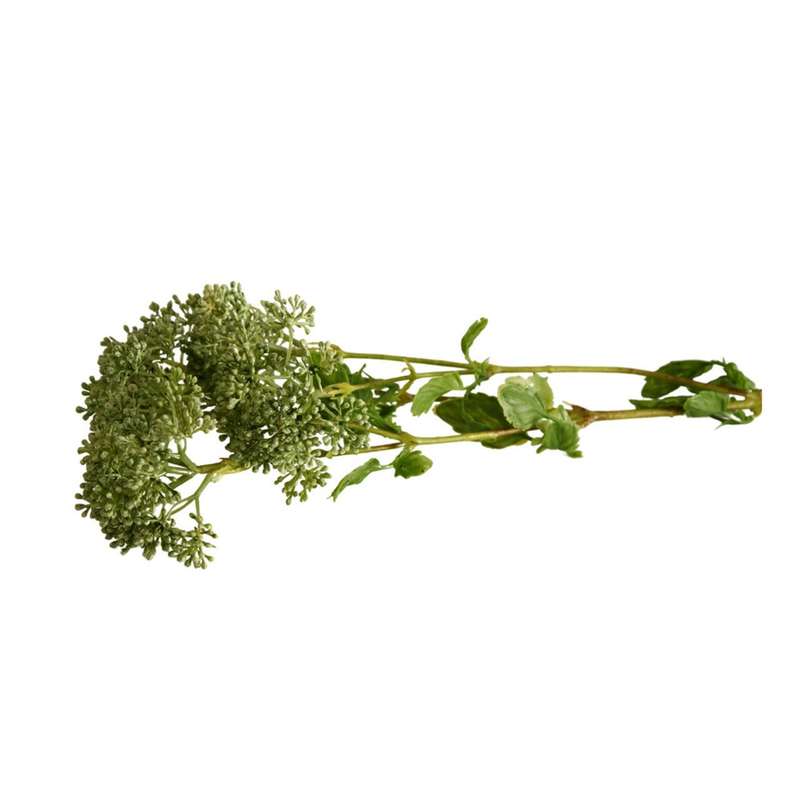 Artificial Plant - Green Flaming Katy