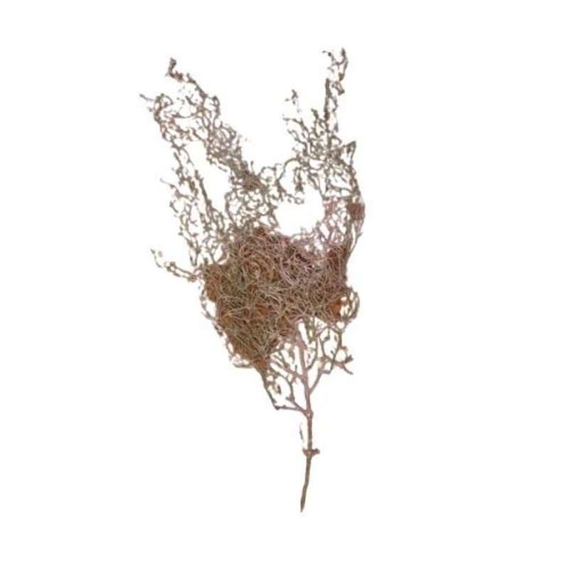 Artificial Spanish Moss Indoor Decor Plant