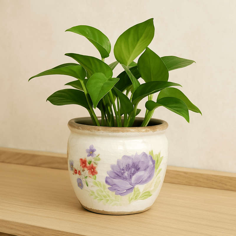 Ceramic Pot - Large Purple Flower