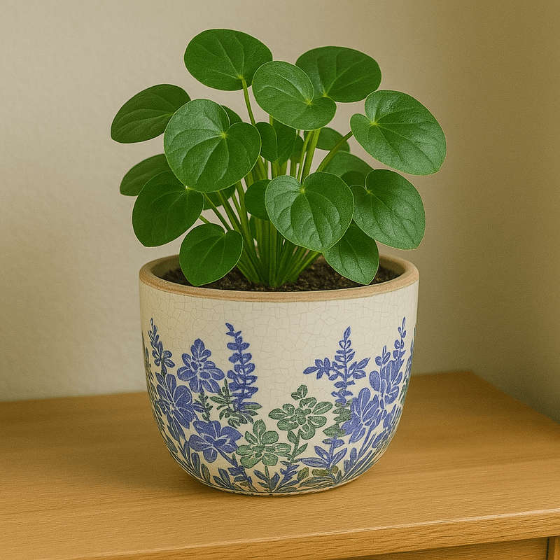 Ceramic Pot Planter - Blue And Green Flowers