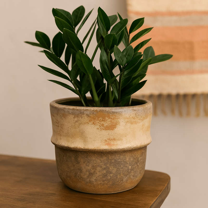Ceramic Pot - Rustic Beige Colours