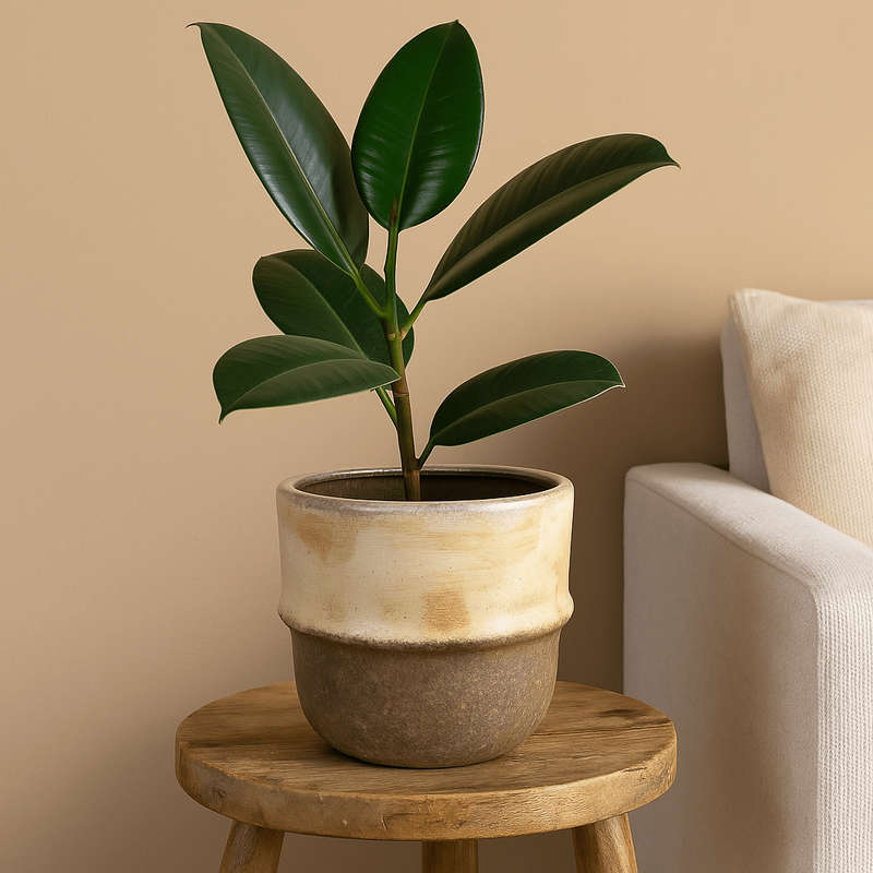 Ceramic Pot - Rustic Beige Colours