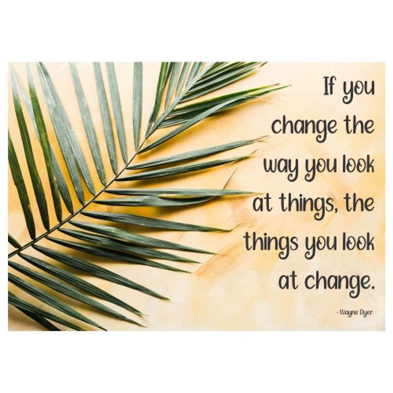 Disposable Placemat - Change The Way You Look - 24 Pack