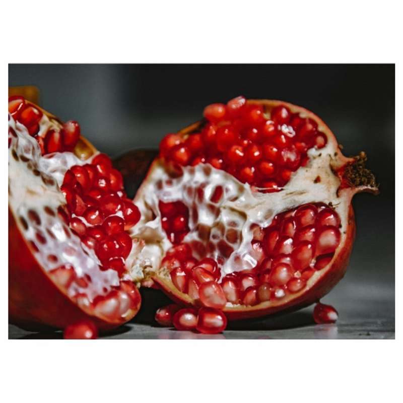Disposable Placemat - Open Pomegranate - 24 Pack
