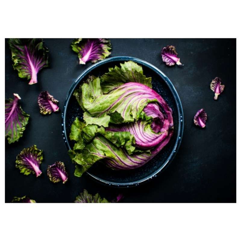 Disposable Placemat - Purple Cabbage - 24 Pack
