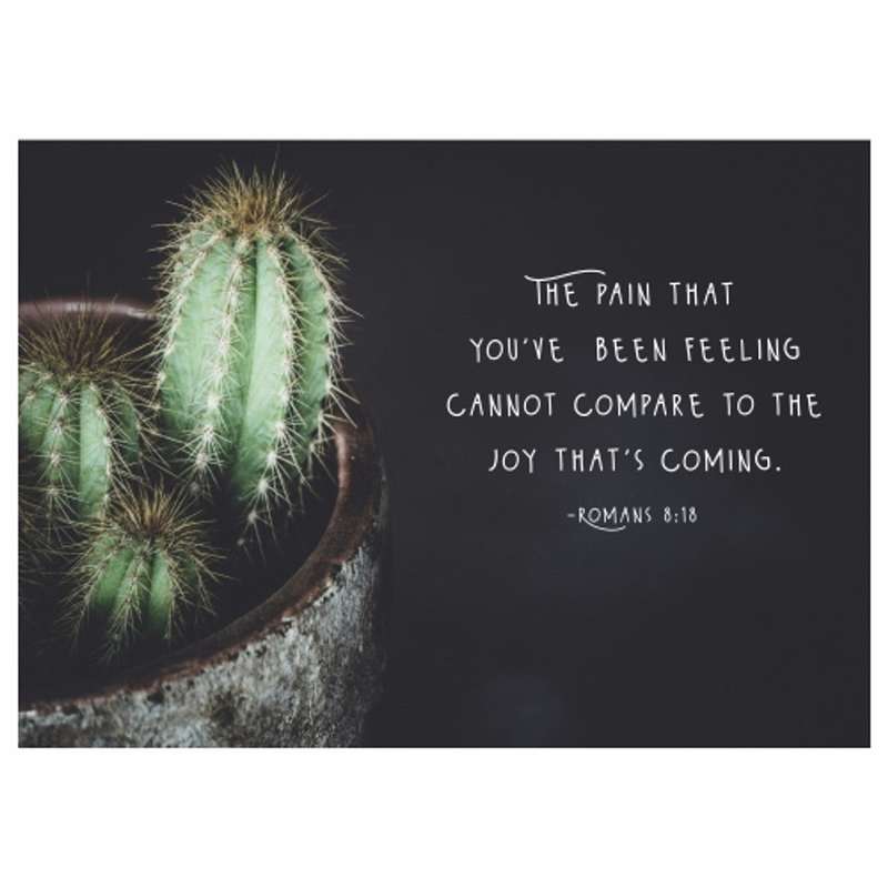 Disposable Placemat - Romans 8:18 - 24 Pack