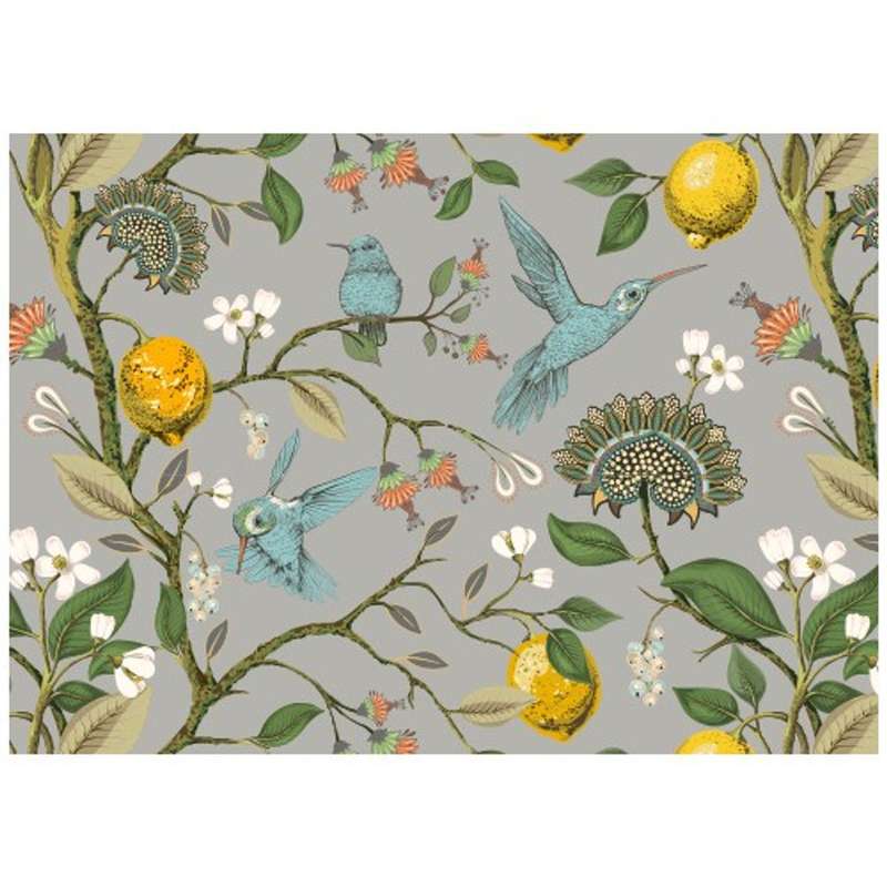 Disposable Placemats - Grey Humming Bird