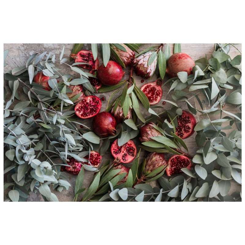 Eucalyptus and Pomegranate Disposable Table Placemats - 24 Pack