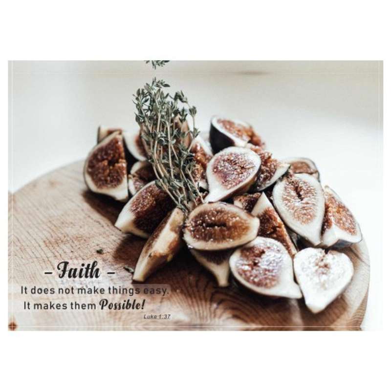 Faithful Figs Inspirational Disposable Placemats