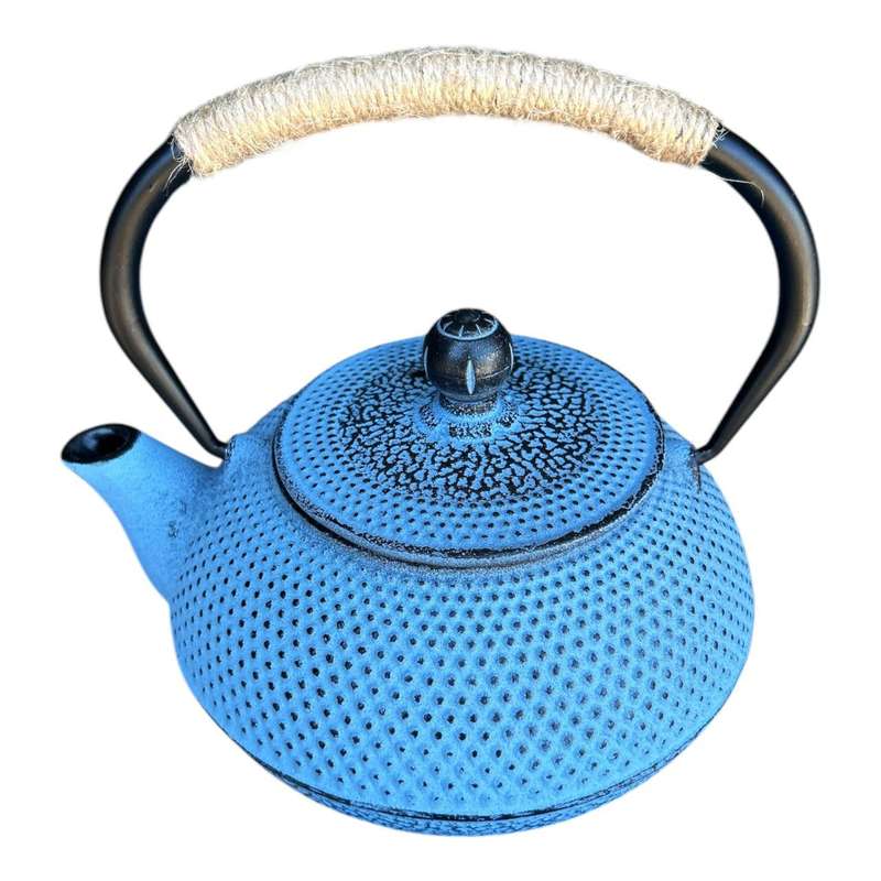 Iron Metal Teapot 900ml - Blue