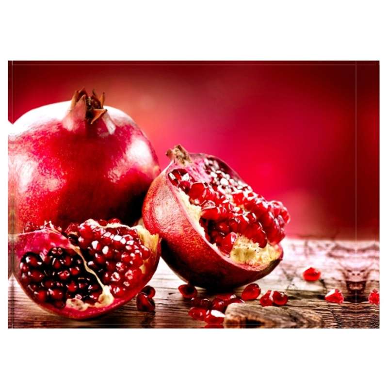 Pomegranate Design Disposable Table Mat - 24 Pack
