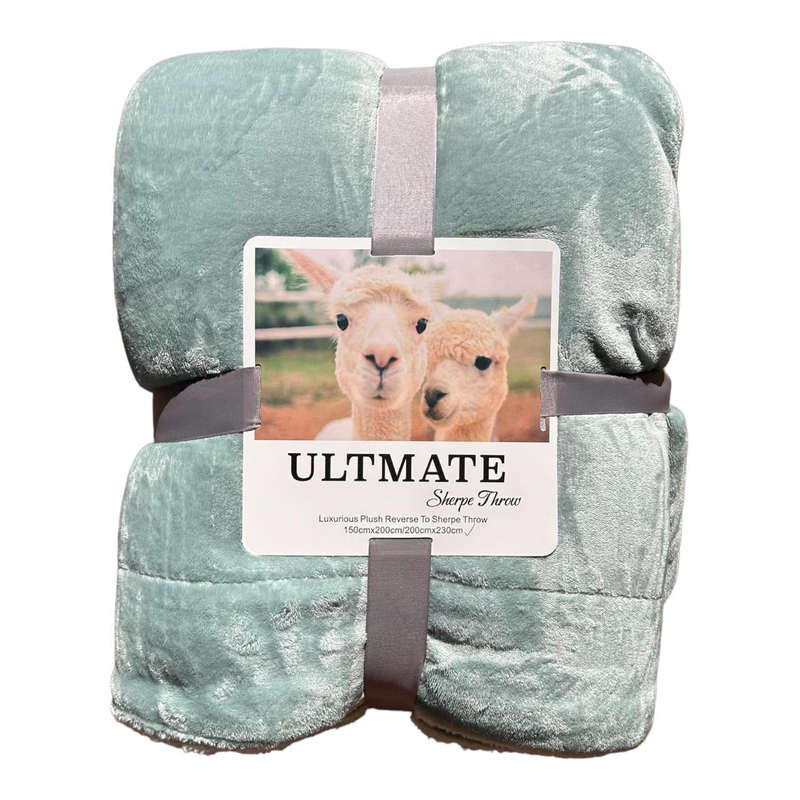 Queen Size Polyester Blanket - Mint