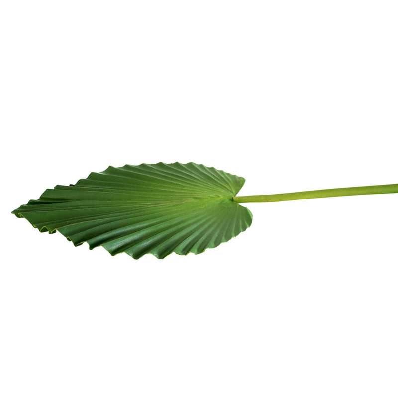 Sharp Point Palm Decorative Leaf