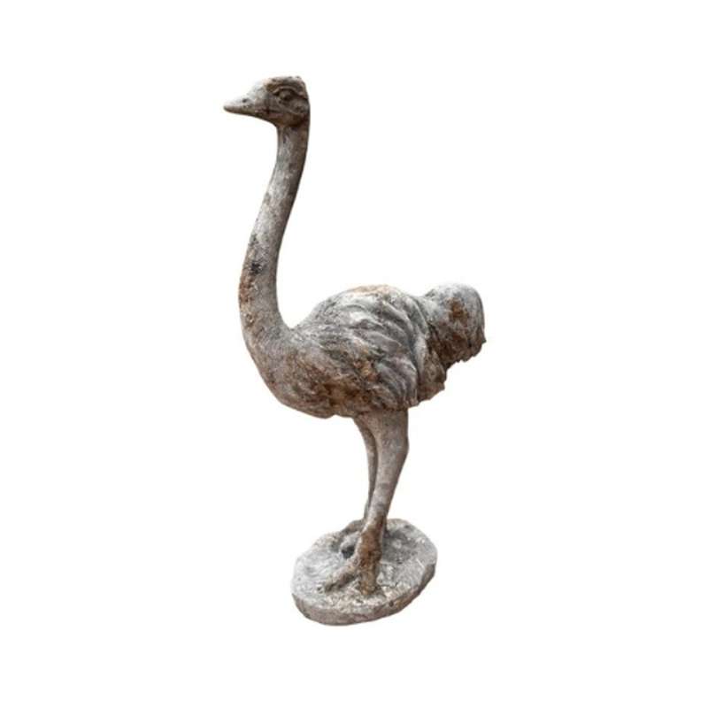 Small Grey Ostrich