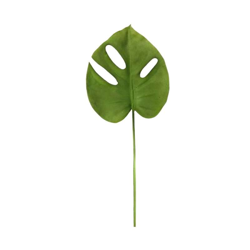 Tropical Swiss Cheese Monstera Leaf Decor