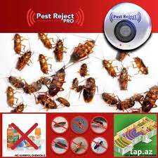 Stop Pests Pro