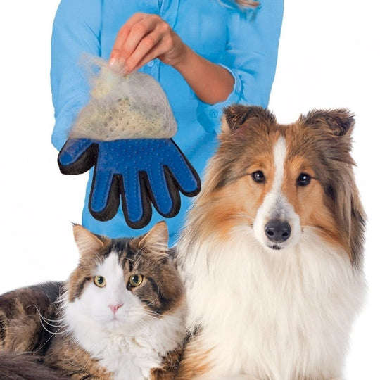 TRUETOUCH FIVE FINGER DESHEDDING GLOVE