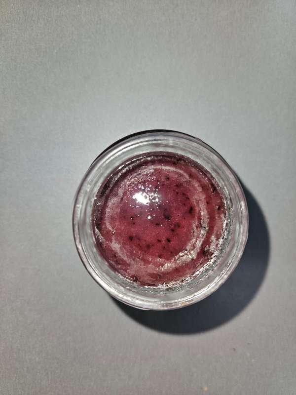 Sea Moss Gel - Infusion