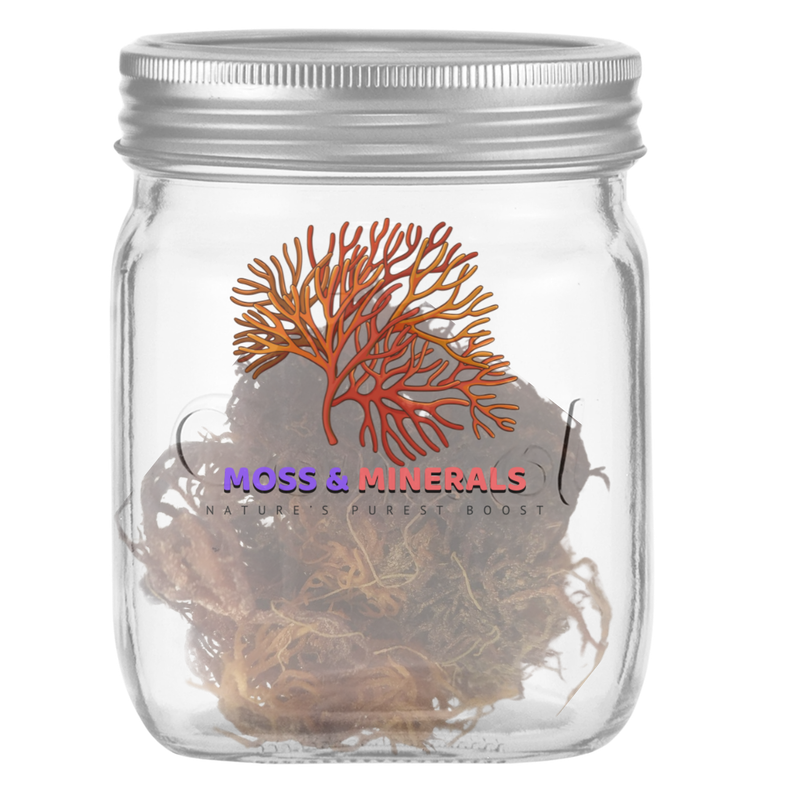 Sea Moss Dry Pack Refills - Infusion